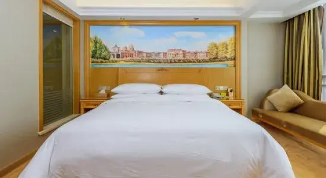 Люкс Deluxe Vienna Hotel (Guilin Yongfu Station Store)