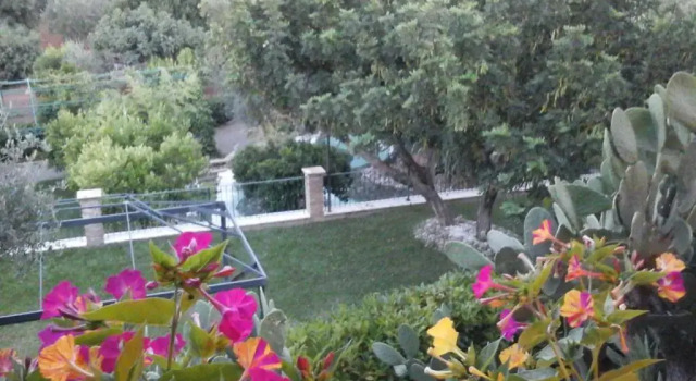 Номер Standard Agriturismo Terranova