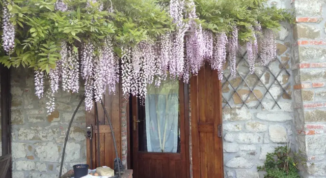 Sereno la tua Casa nelle Colline Toscane, Boek Hotel Lamporecchio Toscane