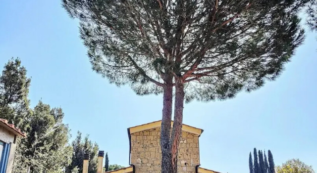 Residence con piscina a Guardistallo