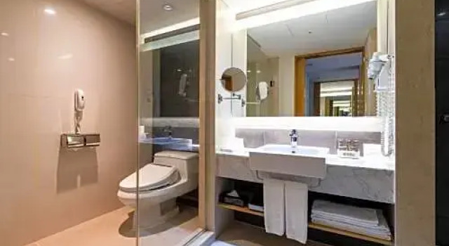 Habitación De ejecutivo Novotel Ambassador Daegu