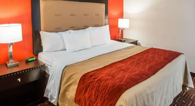 Номер Business Quality Inn & Suites NJ State Capital Area