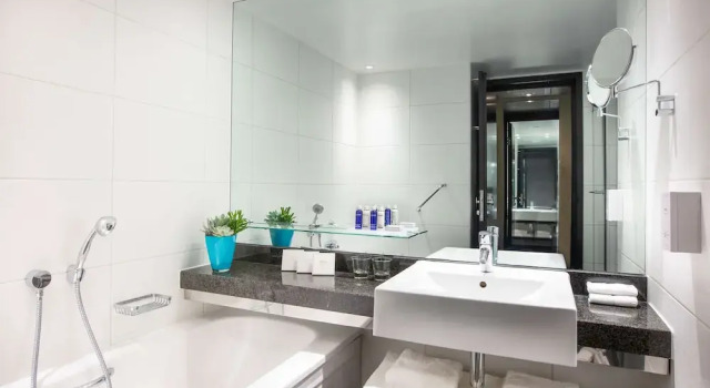Двухместный номер Superior Park Plaza London Riverbank