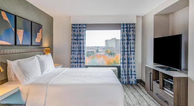 Двухместный номер Standard с видом на горы Hilton Garden Inn Denver Tech Center