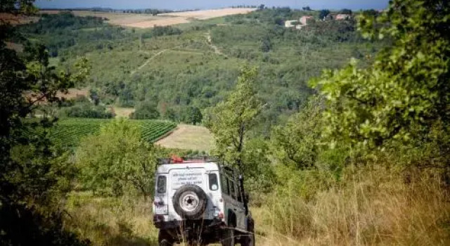 B&B al Merlo Olivo
