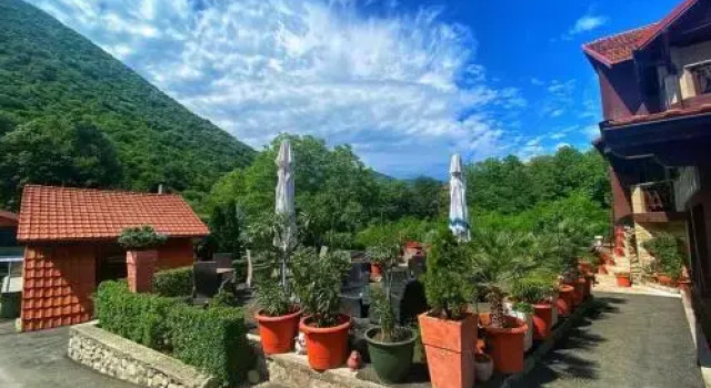 Pensiunea El Plazza, Varaa Hotelli Hotellit Carpathians - Romania uima-altaalla, Uima-allas