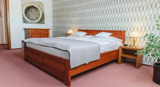 Люкс Comfort Hotel Horal