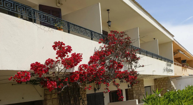 Residence Les Mandariniers