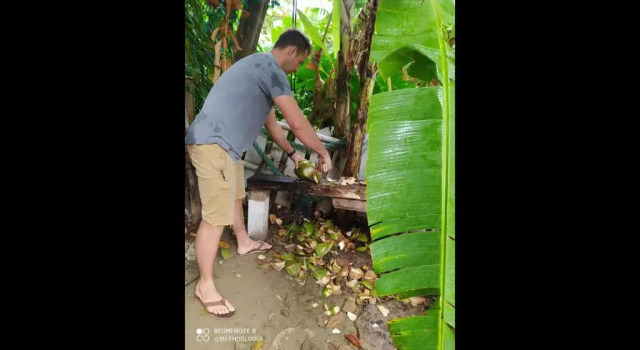 Room In Lodge - Method Living Tropical Edition