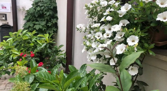 Апартаменты B&B Nel Centro Storico