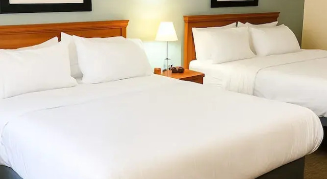 Номер Economy White Pine Lodge