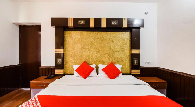 Люкс Standard OYO 46828 Hotel Devidyar