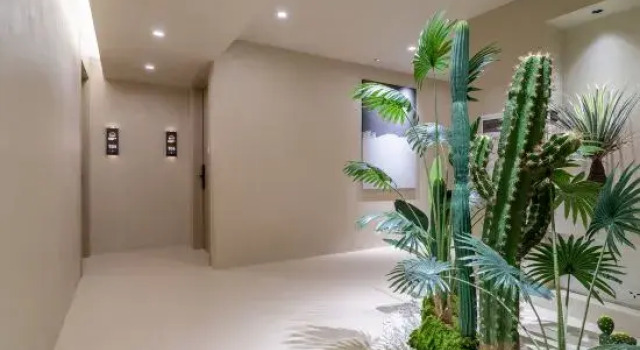 Dawn's Conjecture Wisdom B&B, Prenota Bed & breakfast Shennongjia Hubei