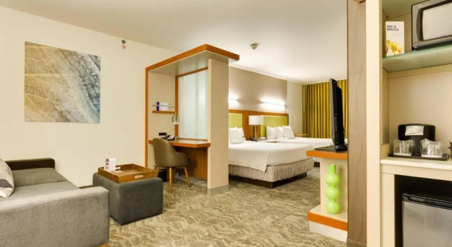 Двухместная студия SpringHill Suites by Marriott McAllen Convention Center