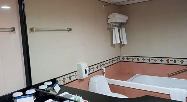 Номер Deluxe Swiss International Palace Hotel Manama