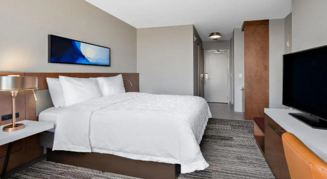 Двухместный номер Hilton Garden Inn Chicago McCormick Place