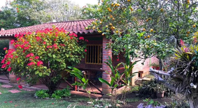 Бунгало Deluxe Cabañas La Carolina - Mesa de Los Santos