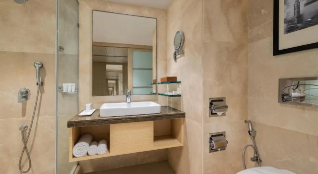 Двухместный номер Superior Radisson Mumbai Goregaon