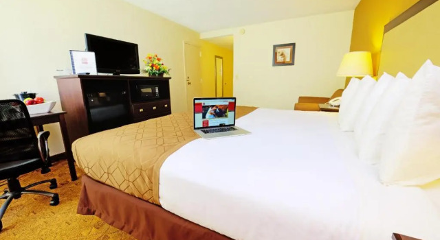 Номер Standard Village Inn Clemmons-Winston Salem, Trademark by Wyndham