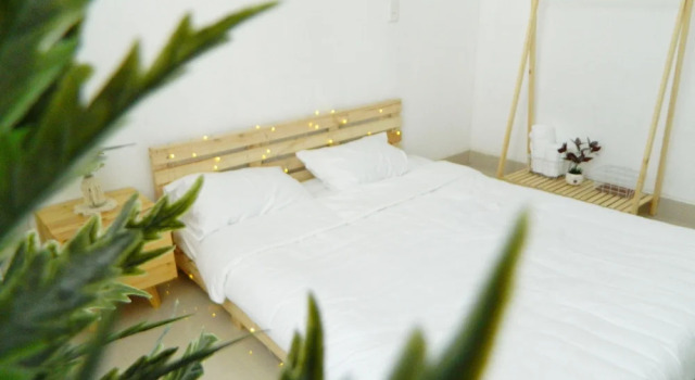 Homestay Trop Home - Hostel
