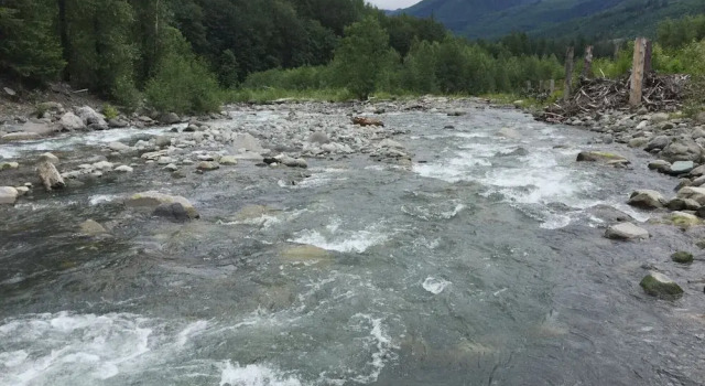 Mt. Baker Lodging Cabin 65 (Sleeps 10), Prenota Hotel Warnick Stati Uniti