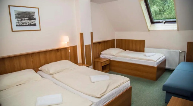 Номер Standard Parkhotel Harrachov