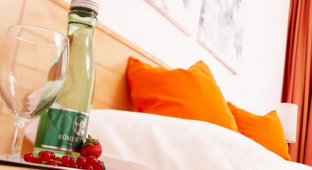 Одноместный номер Standard Amadeo Hotel Schaffenrath