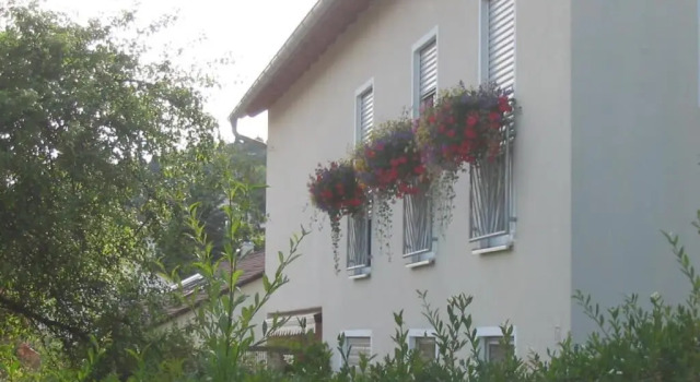 Апартаменты Цокольный этаж Ferienwohnung im Grünen