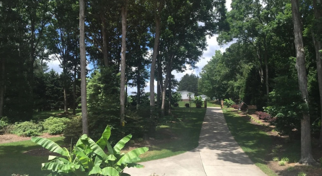 Номер Executive The Lakeside Resort