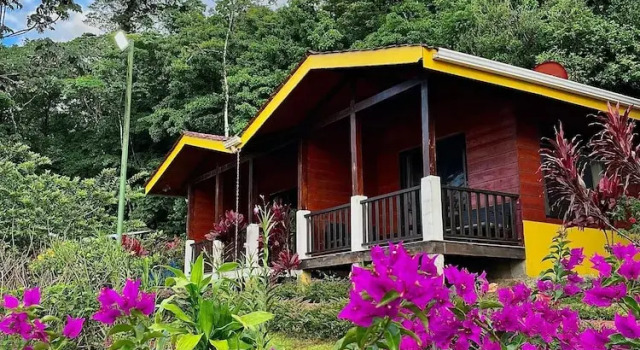 Номер Superior Hotel y Puentes Colgantes Heliconias Rainforest Lodge