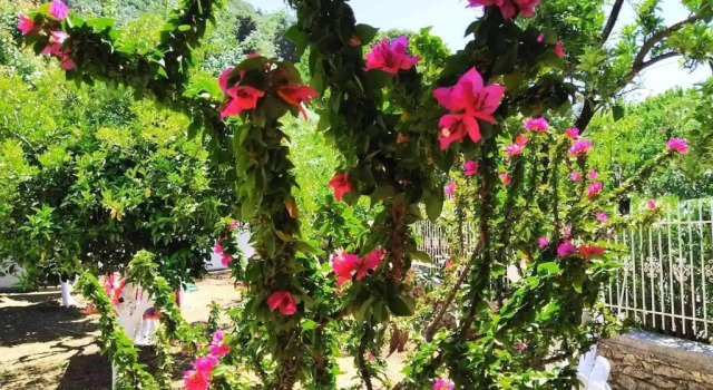 Коттедж Oleander, 100m from the center and the sea