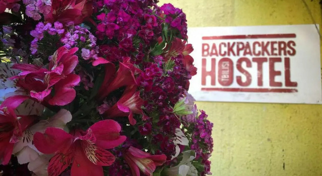 Camera doppia Standard Backpackers Hostel