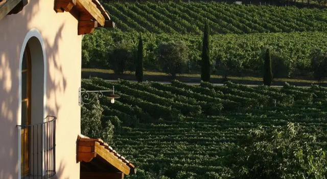 Апартаменты Superior Poggio al Casone