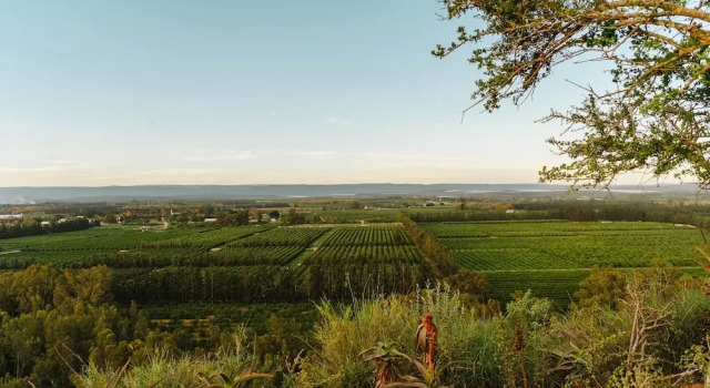Hitgeheim Garden Cottages, Забронировать Дом для отпуска Аддо Addo Elephant Park