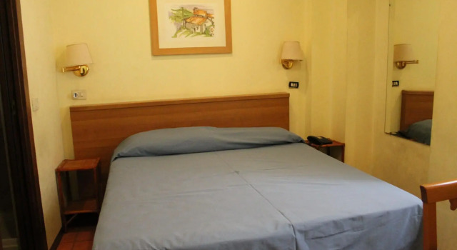 Одноместный номер Standard Hotel Pomezia