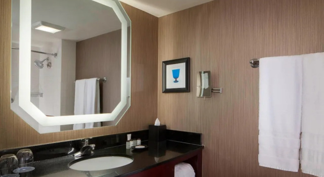 Номер Deluxe Sheraton DFW Airport Hotel