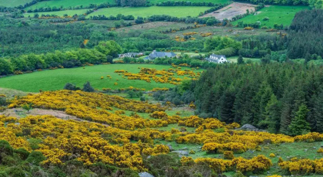 The Knock Guest house, Book Pension Dunhill Waterford