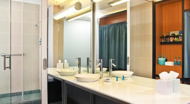 Номер Standard Aloft by Marriott Chesapeake