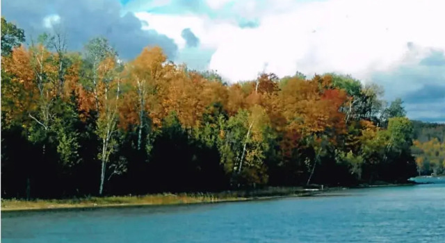 Номер Standard Dixon Lake Resort