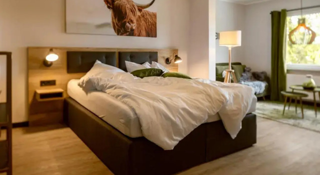 Номер Standard Berg und Tal Hotel & Apartments