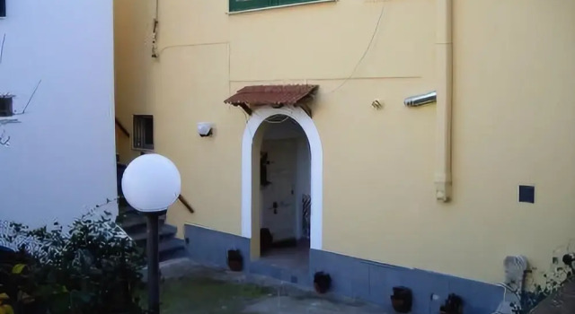 Il Tulipano