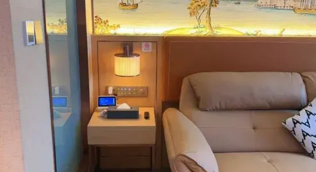 Люкс Deluxe Vienna Hotel Zhucheng Longdu Street Dinosaur Park