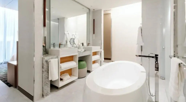 Двухместный люкс Club Millésime Prestige с красивым видом из окна Sofitel Mexico City Reforma