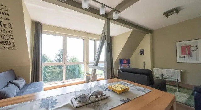 Апартаменты c 1 комнатой Villa Geisenhof