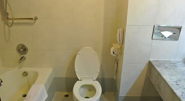 Двухместный номер Deluxe Chiang Mai Plaza Hotel