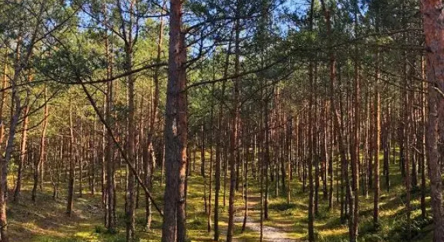 Apartament z prywatnym tarasem na dachu Ogień 8 Jurata, Varaa Huoneisto Hotellit Pommeri pysäköinnillä, Pysäköinti