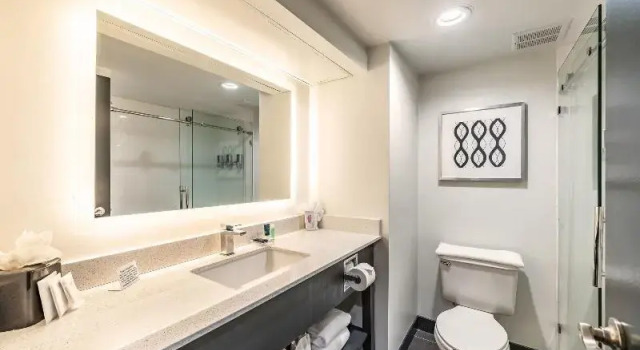 Четырёхместный номер Classic Four Points by Sheraton Greensboro Airport