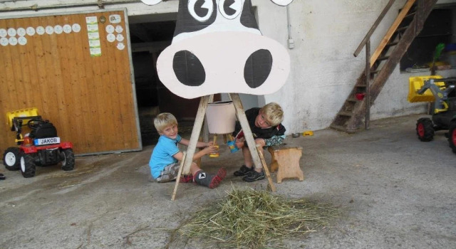Ferienhof Dansbach, Book Lejlighed Selzthal Steiermark