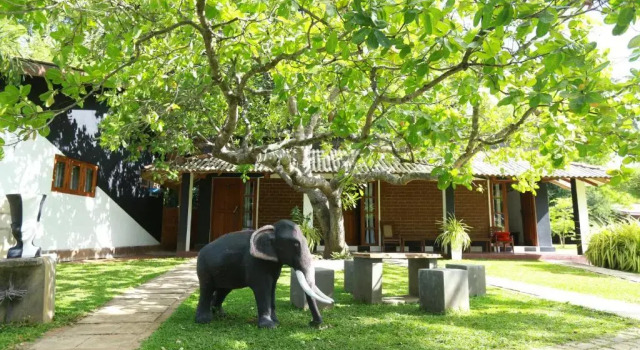 Номер Standard Eco Hotel Black & White - Anuradhapura