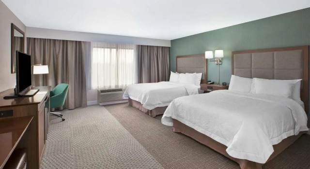 Номер Standard Hampton Inn & Suites Alliance